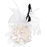 JKQBUX Multi-function Feather Flower Brooch Pins & Hair Clips for Women Girls Corsage Brooch Party Ceremony Accessories Dance Banquet Pins Headdress