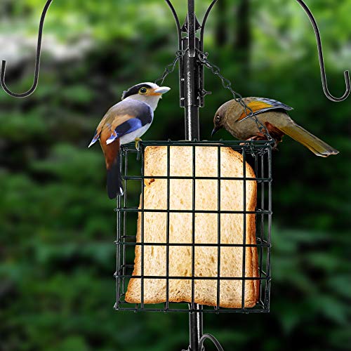Erytlly Bird Feeding Station Kit Multi Feeder Hanging Kit Premium