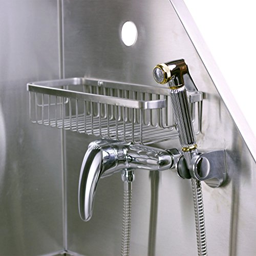 Flying Pig Grooming 62