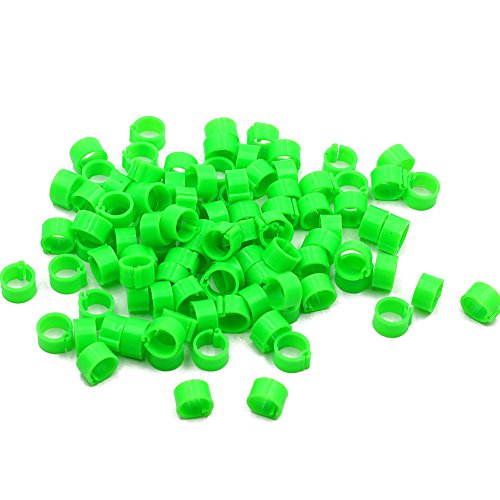 MasXirch 100 Pcs Vogel Bein Ringe Vogel Identifikation Bein Bands Geflügel Bein Bands Clip auf Bein Ringe für Tauben Tauben Wachtel (8mm) – Bild 6