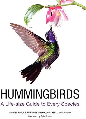 Download Hummingbirds: A Life-size Guide to Every Species PDF