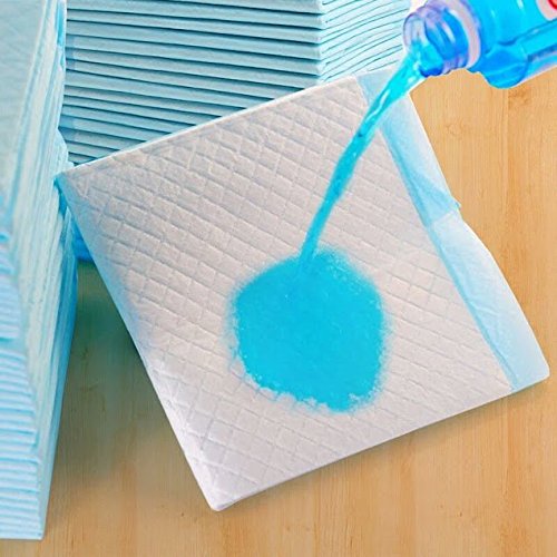PETSWORLD Absorbent Pet Training Pads, 600 Ct, 17x24