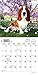 Basset Hounds 2017 Calendar