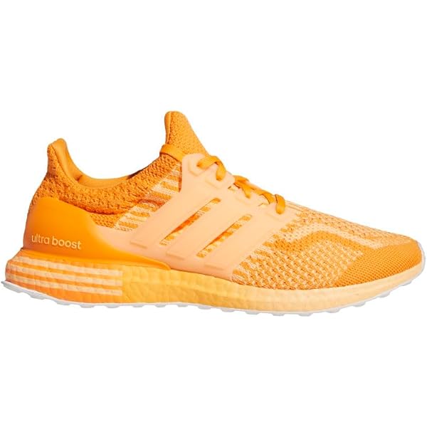 adidas ultra boost dna 5.0 mens