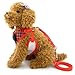 SELMAI Stylish Red Plaid Suits Mesh Dog Tuxedo Harness Vest Leash Set for Small Toy Dog Cat Puppy Adjsutable No Pull M
