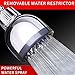 POYINRO 1 High Pressure Shower Head 1, Chrome