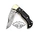 Beautiful Black Micarta 6.5'' Handmade Damascus Steel Brass Bloster Folding Pocket Knife Back Lock 100% Prime Quality