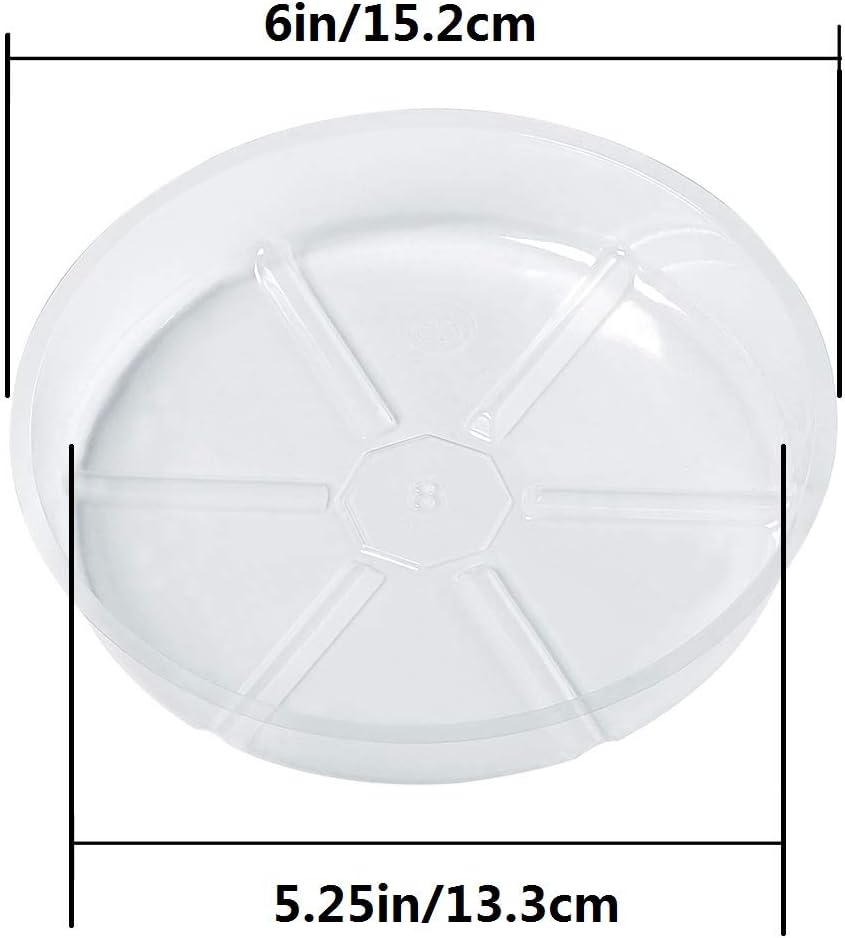 10 Pieces of 6 Inch Clear Plastic Plant Saucer Drip Trays for pots (6 inch) : Garden & Outdoor