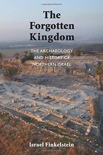 The Forgotten Kingdom: The Archaeology and History of Northern Israel: 05 (Ancient Near East Monographs)