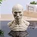 Yanoen Human Model Anatomy Skull Head Muscle Bone Medical Art for The School
