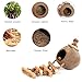 Tfwadmx Coconut Hide with Ladder, Natural Coconut Fiber Hanging Birdhouse Cage, Coconut Bird Shell Breeding Nest for Parrot Parakeet Lovebird Finch Canary (2 Pcs)
