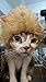 Brown Faux Fur Lion Mane Wig Dog Cat Costume Accessory