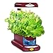 AeroGarden Sprout with Gourmet Herb Seed Pod Kit, Red