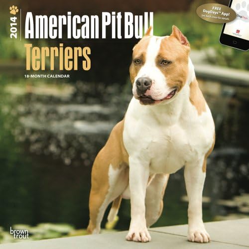 American Pit Bull Terriers 18-Month 2014 Calendar (Multilingual Edition)