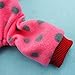 Fitwarm Polka Dot Dog Pajamas, Cute Dog Clothes for Small Dogs Girl, Pet Fleece Sweater, Onesie with Feet, Red, Small
