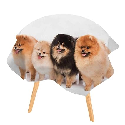 Amazoncom Pinafore Easy Care Cloth Tablecloth Groupe De