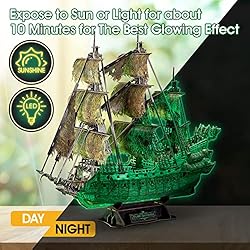 3D Puzzles for Adults Glow in The Dark The Flying
