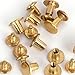 Round Flat Head Chicago Screws Buttons for Leather Crafting, 1/4 Inches (6mm) Repair Screw Post Fastener, Metal Nail Rivet Studs, Gold, 50 Sets, Diameter 5/16 Inches (8mm)