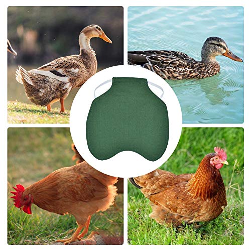 Stronrive Huhn Kleidung Hühnersattel Henne Sattel Hühnerschürze, Verhindern Sie Den Verlust Von Federn, Picken Sie Und Fördern Sie Die Heilung Von Verletzungen – Bild 6