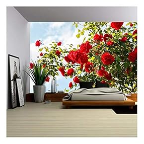 Red Roses Bush in The Garden - Removable Wall Mural | Self-Adhesive Large Wallpaper - 66x96 inches