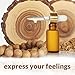 SenseLAB Indian Sandalwood Essential Oil - Wellness and Relaxation - Fragrance Oil - 100% Pure Extract Therapeutic Grade Sandalwood Oil for Aromatherapy Diffuser (10 ml)