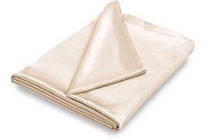 NSGZ 48"x72" Duvet Cover for Weighted Blanket, Silky Soft Satin Weighted Blanket Cover Twin Size Satin Blanket Duvet Cover, Removable Duvet Cover with 8 Ties Secure Fastening, Beige