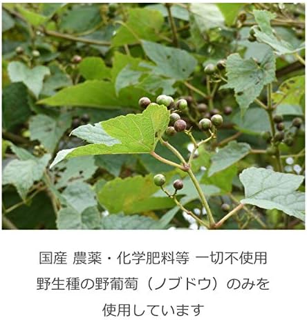 Amazon 布袋農園 野ぶどう茶 国産 無農薬 無施肥 自然栽培 野葡萄茶葉70g 布袋農園 植物茶 通販