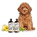Sofee & Co. Natural Oatmeal Dog Puppy Conditioner – Detangle Moisturize Soothe Soften Normal Dry Itchy Flaky Allergy Sensitive Skin. Prevent Mattes. 16 oz (White Tea & Ginger)