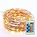 RaThun 33ft 100 LEDs String Lights Flexible Copper Wire Lights Waterproof Design Decor Rope Lights for Festival, Christmas, Wedding, Holiday and Party with Wireless Remote Control, Warm White