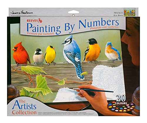Bird Paint by Number Kits | Kritters in the Mailbox | Bird Paint by Number