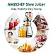 AMZCHEF Professional Slow Juicer, Vegetable & Fruit Juicer Machine, Two speeds, Silent motor ≤60dB, Cleaning brush & Juice jug Include, (150 Watts/Silver grey)
