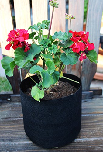 Terra Fabric Black Breathable Fabric Grow Bag Planter Hydroponic Plant Container Aerated Pot (5, 2 Gallon - No Handle)