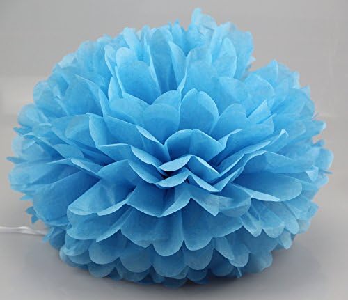 UMISS DECOR Tissue Paper Pom Poms Colorful Hanging Party Supplies in 6 inch Pack of 10 (Lake Blue)