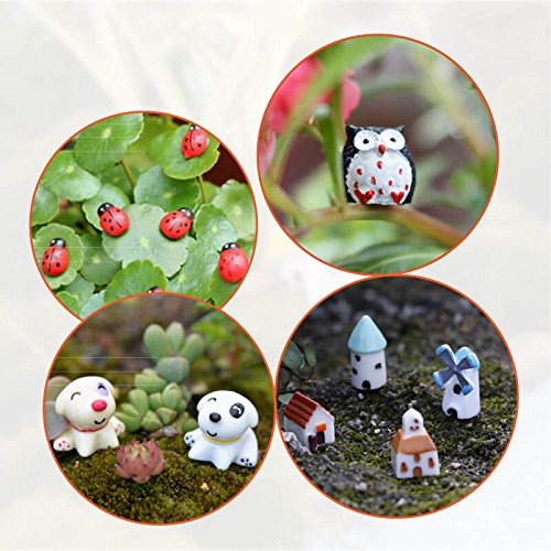 1 PAXCOO+Garden+Miniature+Ornaments+Dollhouse