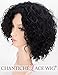 Chantiche Black Wig Synthetic, Short Curly Wig for Women Heat Resistant Synthetic Wigs 1B (GL-0504)