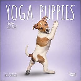 Yoga Puppies 2019 7 x 7 Inch Monthly Mini Wall Calendar, Animals Humor Puppy (Multilingual Edition)