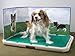 PetSafe Piddle Place Super Saver Kit with Bio+ Treatment, Additional Grass Pad Turf, Freedom Pee Guard - Portable Dog Potty with Pee Pad Turf - Alternative to Puppy Pads - Potty Training for Puppies
