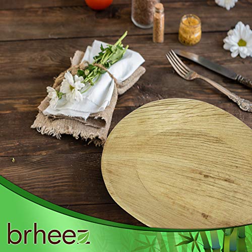 Brheez Palm Leaf Disposable Bamboo Like Oval 10 x 6 Inch Natural Elegant Sturdy Plate/Serving Platter Biodegradable, Compostable Chemical Free, Natural Alternative to Plastic and Paper - Pack of 25