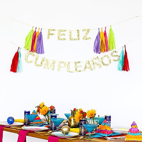 FELIZ CUMPLEAÑOS Celebration Banner by POSHAHOOLIE