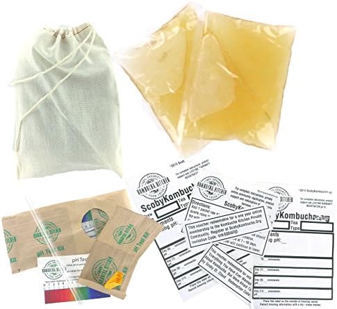 Kombucha Kitchen Raw Kombucha Starter Tea Vinegar Kit (2 Quart, Deluxe)