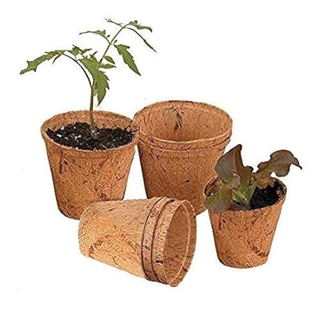 COIR GARDEN Plastic Planters, Multicolour, 5 Inch, 5 Nos