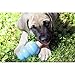 KONG - Ziggies Puppy - Teeth Cleaning Dog Treats - Puppy Recipe - Large (Best Used Puppy Rubber Toys)