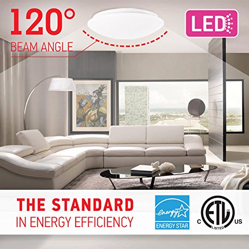 OSTWIN 11 inch Modern LED Flush Mount Ceiling Light Fixture for Any Room 20W (100W Replacement) 5000K (Daylight) Round Acrylic Shade White Finish Mushroom Shape ETL & Energy Star Listed