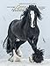 Gypsy Vanner Horse 2016 Engagement Calendar