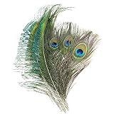Coceca 40pcs Peacock Feathers 10-12 Inches and 20pcs Peacocks Sword 12-15 Inches for DIY Craft, Wedding Decoration