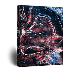 wall26 Canvas Wall Art Inner Feature of Stones...