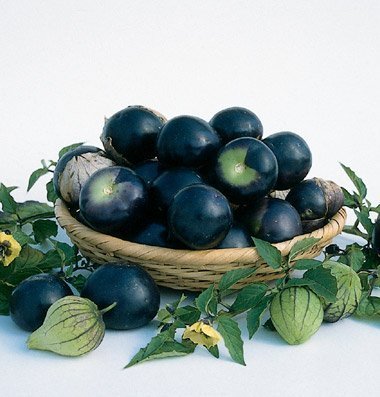 David's Garden Seeds Tomatillo De Milpa D2075AT (Purple) 100 Organic Seeds David's Garden Seeds Tomatillo De Milpa D2075AT (Purple) 100 Organic Seeds