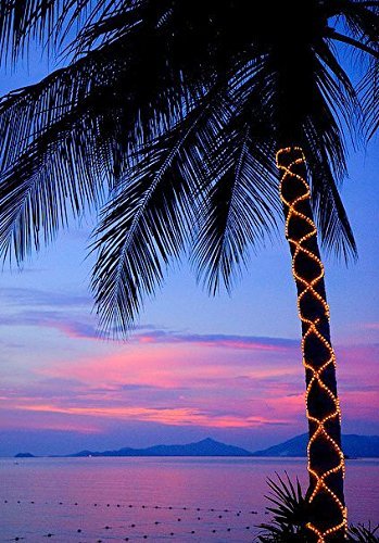 GreenClick LED Rope String Lights Battery Powered 120 LEDs Warm White Indoor Rope Lights With Romote Timer Waterproof 45Ft 8 Mode String Lights For Patio, Yard, Parties, Wedding