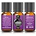 Essential Oils Gift Set: French Lavender, Tea Tree, Eucalyptus, Lemongrass, Sweet Orange, Peppermint | 100% Organic Natural Formula