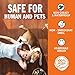 TUZIK Flea Collar for Dogs - 12 Months Flea and Tick Prevention [2020 Upgrade Version] - Dog Flea and Tick Treatment - Stable, Durable and Waterproof Flea and Tick Collar